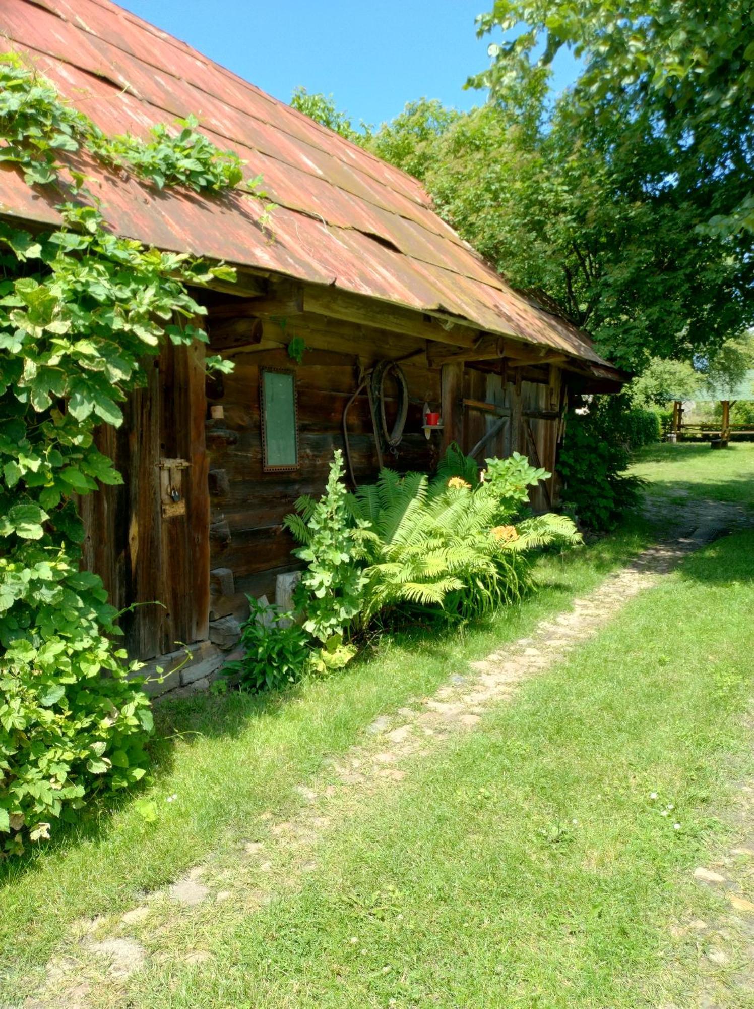Dom Sloneczko Pokoje Do Wynajecia W Bialowiezy Białowieża Dış mekan fotoğraf